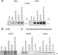 graphic file with name cde171f6.jpg