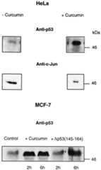 graphic file with name cde171f7.jpg