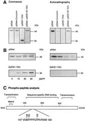 graphic file with name cde171f1.jpg