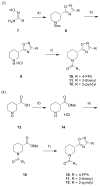 Scheme 1