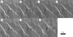 Figure 10.
