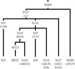 Figure 1.