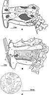 Fig. 2