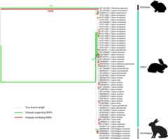 Extended Data Fig. 2