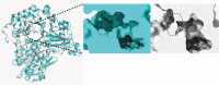 Graphical Abstract