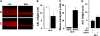 <b>Figure 11.</b>