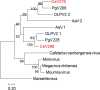 FIG 3