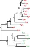 FIG 5
