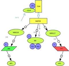 Fig. 4