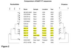 The dendograms were constructed using the UPGMA method. The genetic distances were computed by using the Kimura two-parameter model. The scale bar indicates similarity values. The numbers next to each node indicate the bootstrap values (n=100). Evolutionary analyses were conducted in Bionumerics (V.6.6 Applied Maths). Strains noted * were isolated from the same botulism outbreak. Genbank accesion numbers are: IBCA03-0045, JX847735; CDC32356, GU213234; CDC35112, GU213233, CDC51192; GU213232; CDC59837, GU213231; Sullivan, CP006905; Orange, HM746655; CDC51267, GU213235; ATCC 43756, X68262.