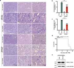 Extended Data Fig. 2