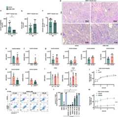 Extended Data Fig. 9