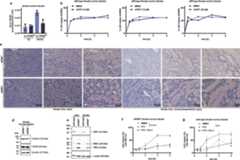 Extended Data Fig. 8