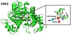 Figure 29.