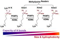 graphic file with name nihms-1039430-f0047.jpg
