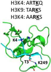 Figure 23.