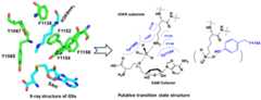 Figure 12.