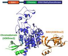 Figure 22.