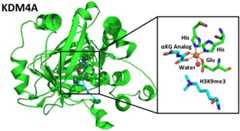 Figure 26.