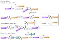 Figure 46.