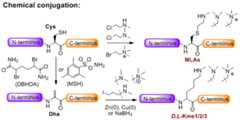 Figure 44.