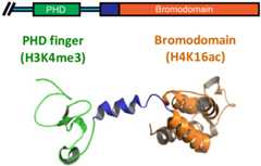 Figure 20.