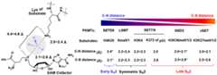 Figure 14.