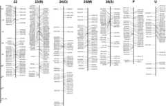 Figure 2.—