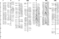 Figure 2.—