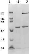 FIG. 1