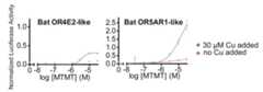 Fig. 17