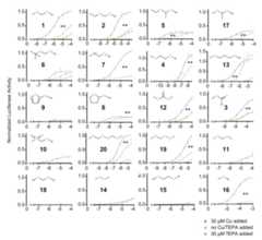 Fig. 12