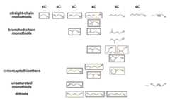 Fig. 21