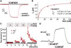 Figure 4