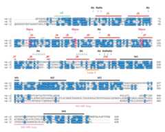 Figure 1—figure supplement 7.