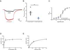 Figure 1—figure supplement 3.