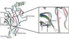 Figure 3—figure supplement 3.