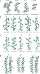 Figure 1—figure supplement 6.