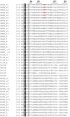Figure 4—figure supplement 1.