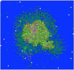 graphic file with name fimmu-08-01843-i003.jpg