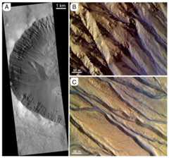 Fig. 15