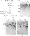 FIG. 2.