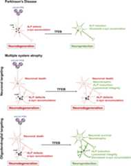 graphic file with name jciinsight-4-129719-g111.jpg