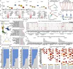 Extended Data Fig. 10 |