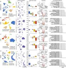Extended Data Fig. 8 |