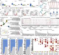 Extended Data Fig. 9 |