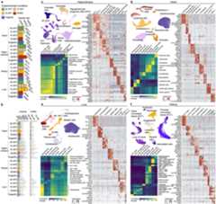 Extended Data Fig. 7 |