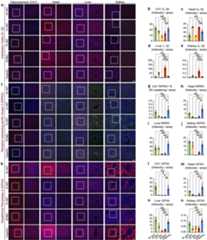 Extended Data Fig. 5 |