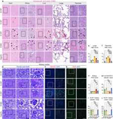 Extended Data Fig. 3 |