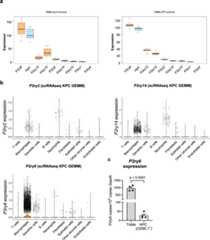 Extended Data Fig. 6